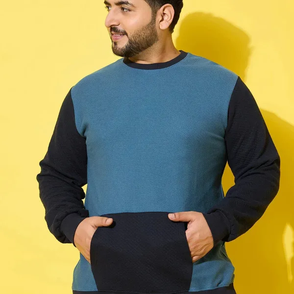 Men Plus Size Zerk Multicolor Colorblock Sweatshirt