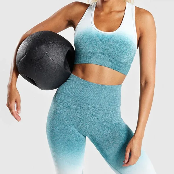 Ombre Seamless Sports Bra Push Up Gym Women Girls Fitness Bra Padded Energy Seamless Crop Top Femme Shark Yoga